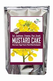 Go Organic Mustard Cake
