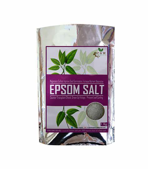Go Organic Epsom Salt