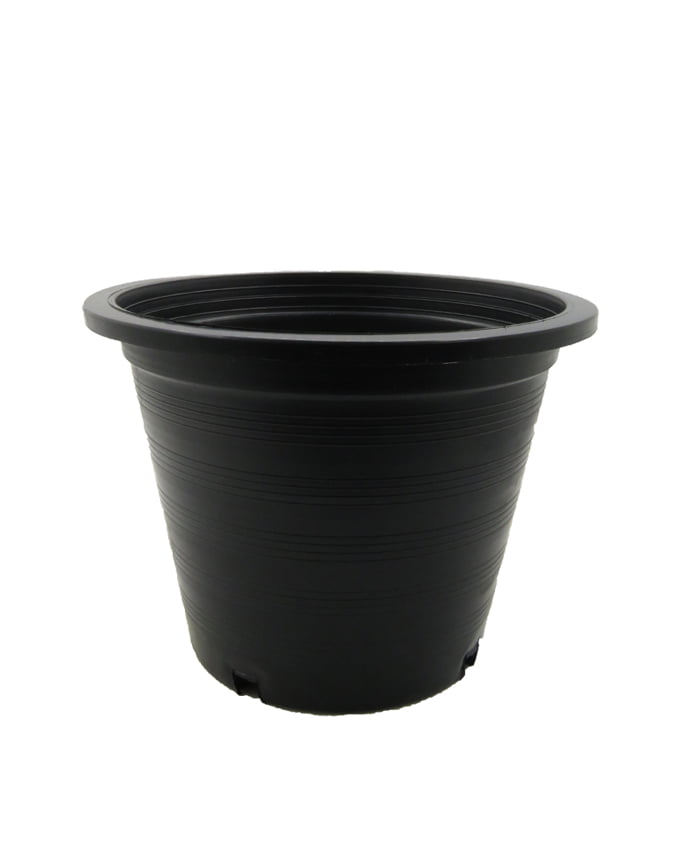 Pots black local