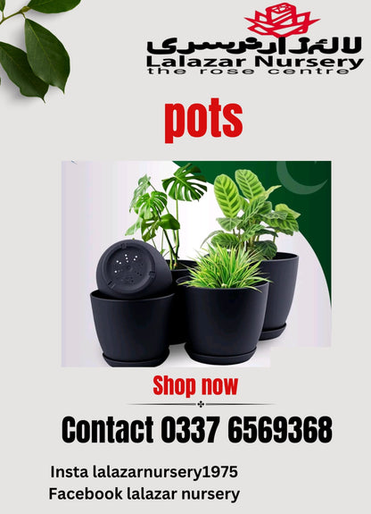 Plastic pots /Pack of five different sizes