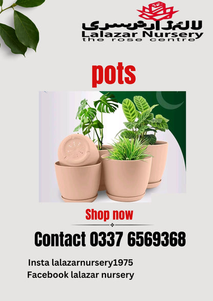 Plastic pots /Pack of five different sizes