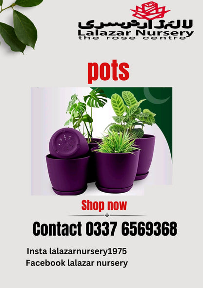 Plastic pots /Pack of five different sizes