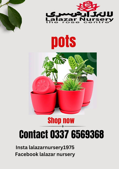 Plastic pots /Pack of five different sizes