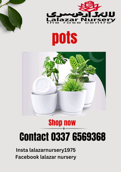 Plastic pots /Pack of five different sizes