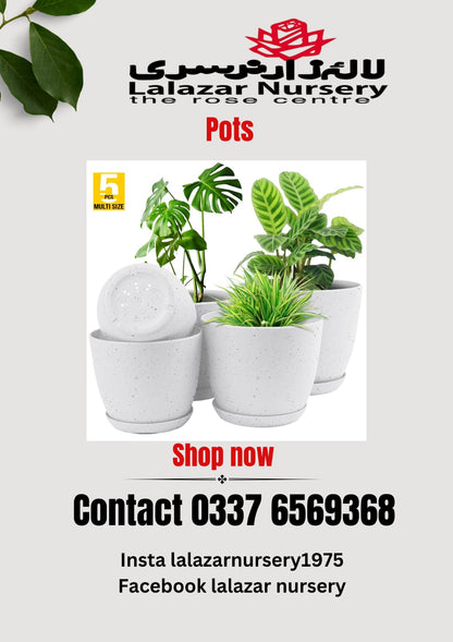 Plastic pots /Pack of five different sizes