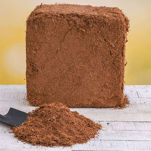 Coco peat block 5 Kg