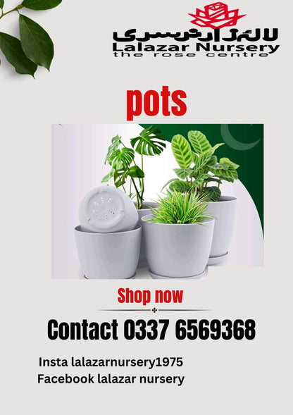 Plastic pots /Pack of five different sizes