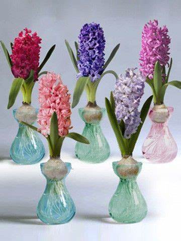 Hyacinth Jar