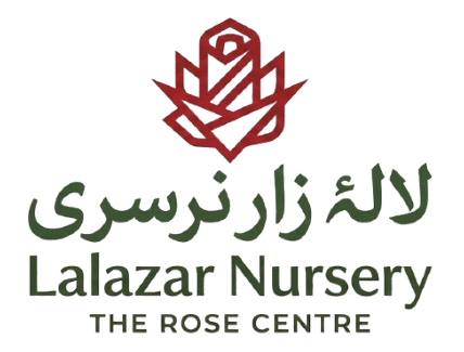 Lalazar Nursery 