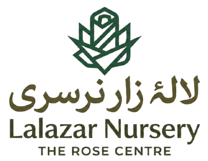 Lalazar Nursery 