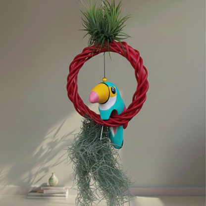 AirPlant with spanish moss (Tillandsia)